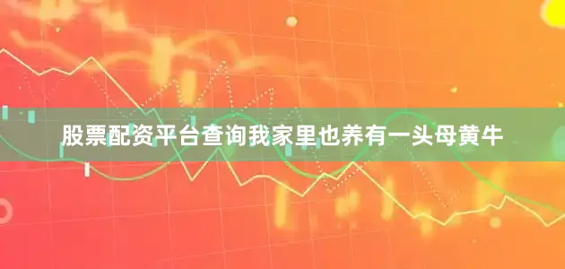 股票配资平台查询我家里也养有一头母黄牛